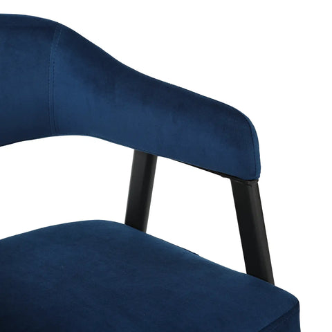 Chelsea Set of 2 Dark Navy Velvet Dining Chairs