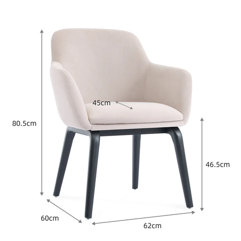Belshire Dining Chair, Black Ash Solid Wood | Cream Velvet Fabric