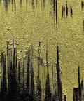 Gilded Dreams Nocturne Cascade Abstract Oil Painting - Furnt