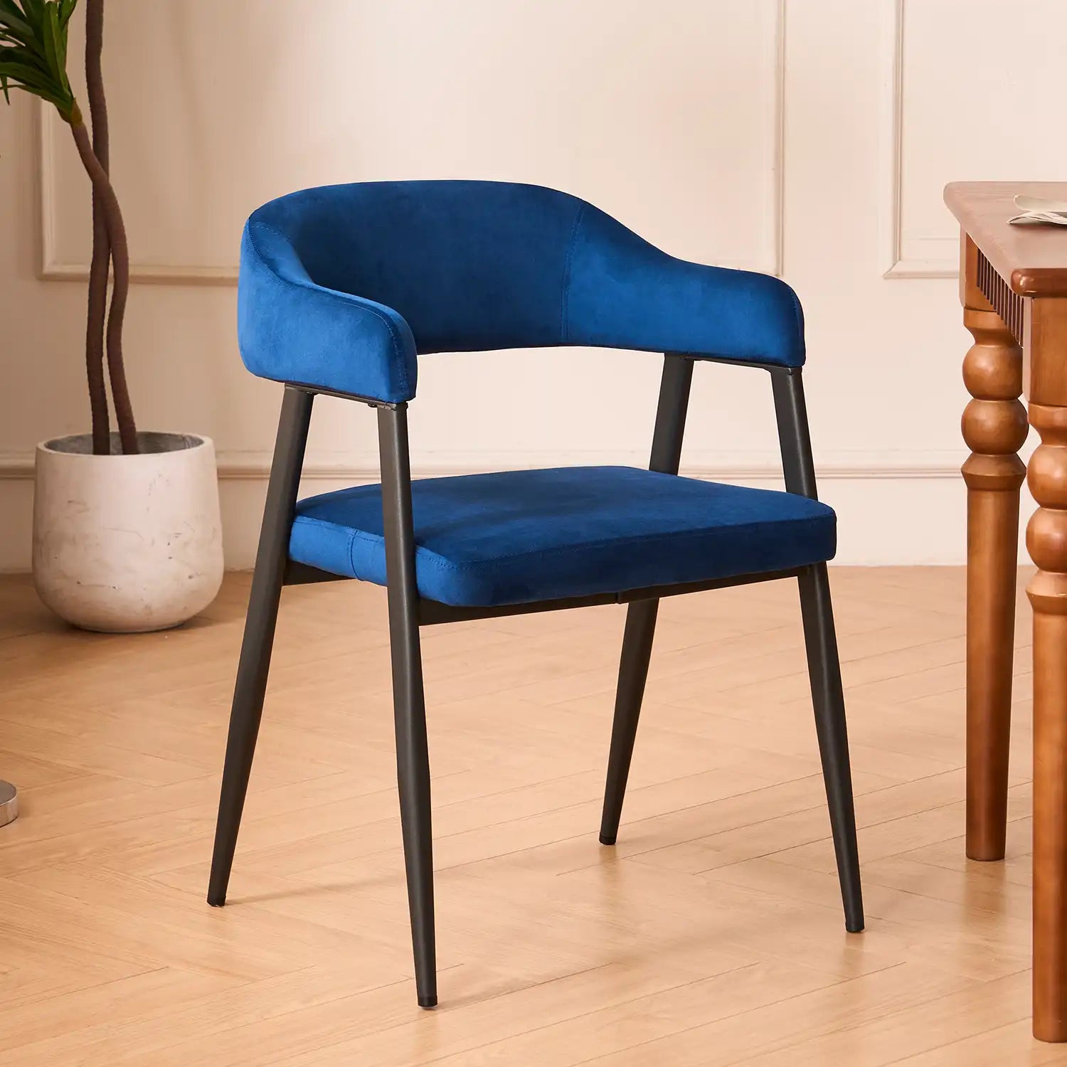 Diva Home Velvet Dining Chairs Set Of 2 – Upholstered Seat, Metal Frame, Modern Style